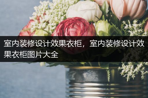 室内装修设计效果衣柜，室内装修设计效果衣柜图片大全