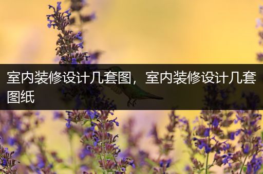 室内装修设计几套图，室内装修设计几套图纸