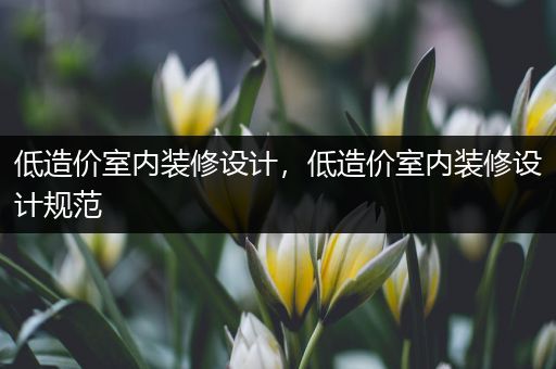 低造价室内装修设计，低造价室内装修设计规范