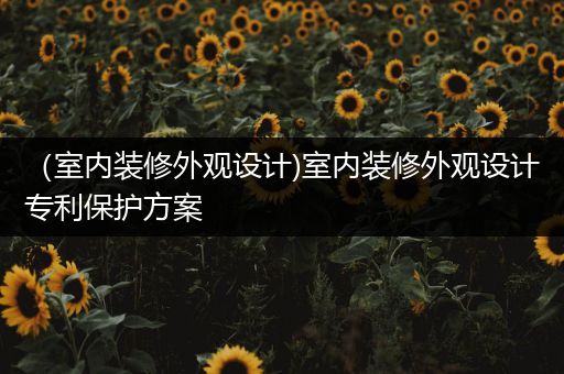 （室内装修外观设计)室内装修外观设计专利保护方案