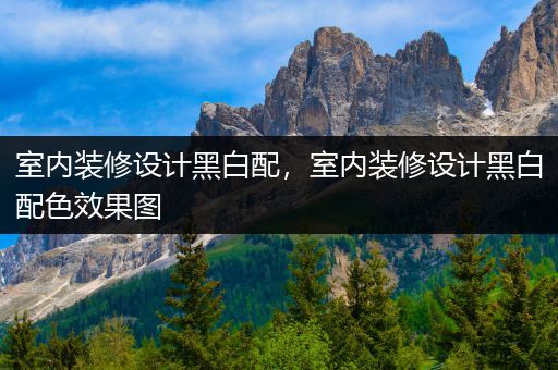 室内装修设计黑白配，室内装修设计黑白配色效果图