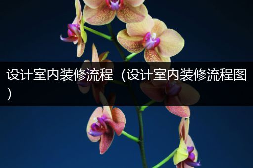 设计室内装修流程（设计室内装修流程图）
