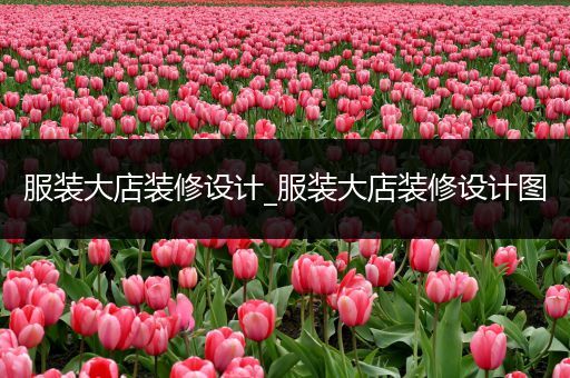 服装大店装修设计_服装大店装修设计图