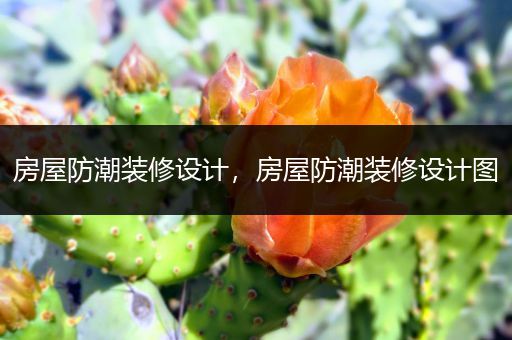 房屋防潮装修设计，房屋防潮装修设计图