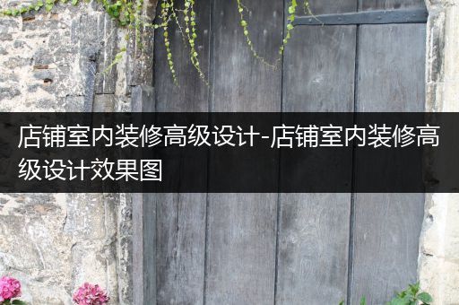 店铺室内装修高级设计-店铺室内装修高级设计效果图