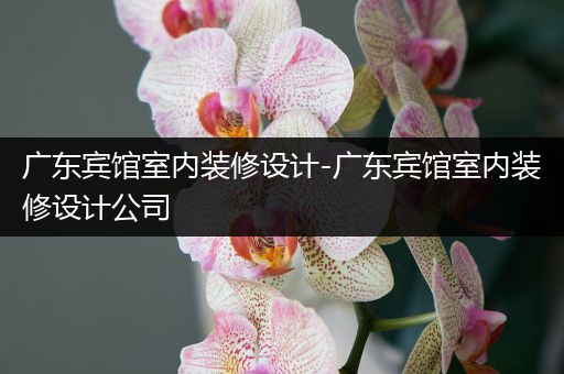 广东宾馆室内装修设计-广东宾馆室内装修设计公司