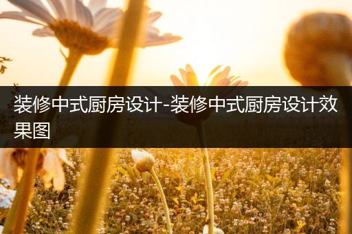 装修中式厨房设计-装修中式厨房设计效果图