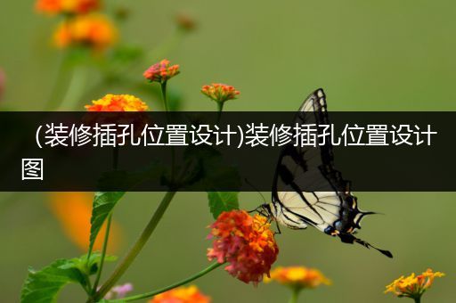 （装修插孔位置设计)装修插孔位置设计图