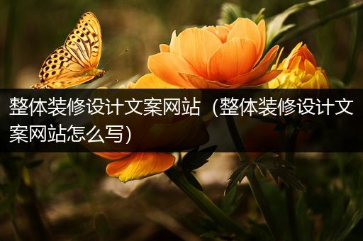 整体装修设计文案网站（整体装修设计文案网站怎么写）