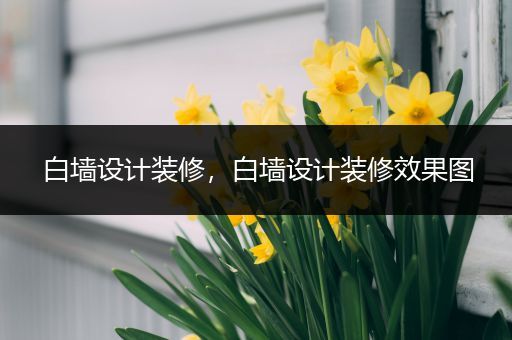 白墙设计装修，白墙设计装修效果图