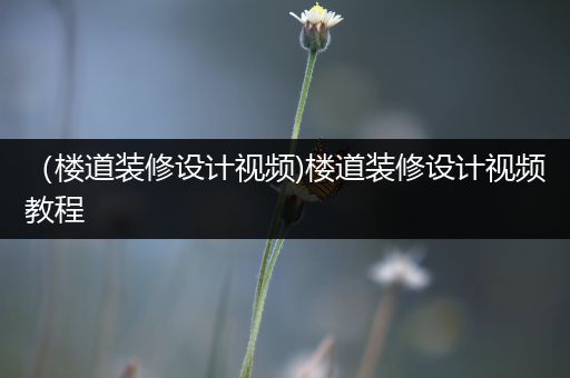 （楼道装修设计视频)楼道装修设计视频教程