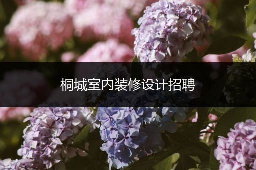 桐城室内装修设计招聘