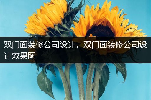 双门面装修公司设计，双门面装修公司设计效果图