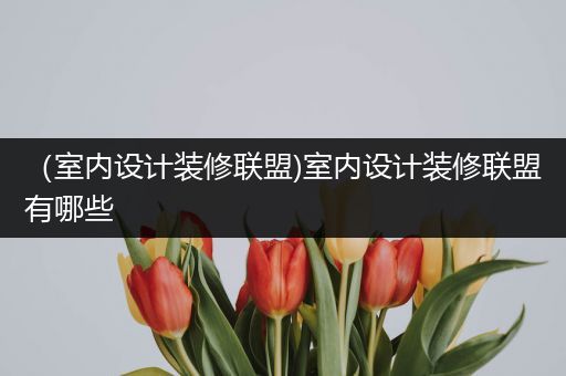 （室内设计装修联盟)室内设计装修联盟有哪些
