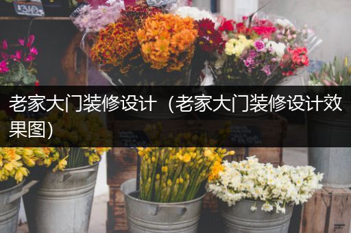 老家大门装修设计（老家大门装修设计效果图）