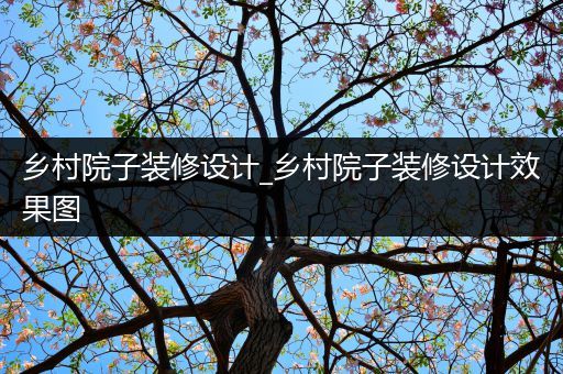 乡村院子装修设计_乡村院子装修设计效果图