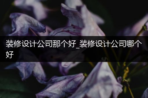 装修设计公司那个好_装修设计公司哪个好