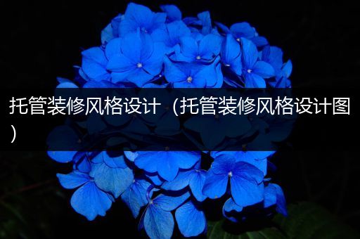 托管装修风格设计（托管装修风格设计图）