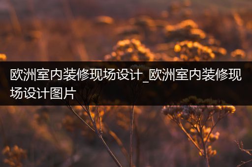 欧洲室内装修现场设计_欧洲室内装修现场设计图片