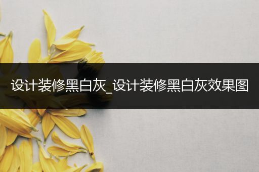 设计装修黑白灰_设计装修黑白灰效果图