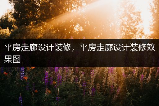 平房走廊设计装修，平房走廊设计装修效果图