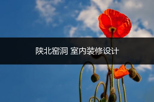 陕北窑洞 室内装修设计