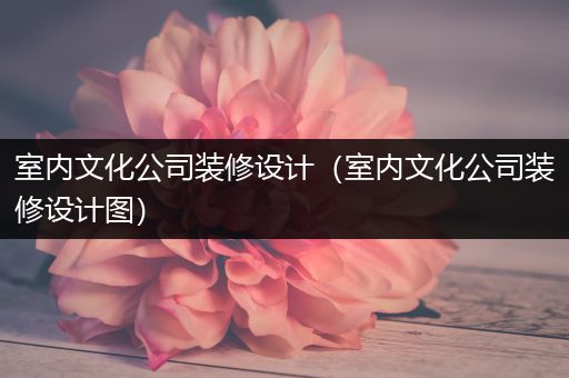 室内文化公司装修设计（室内文化公司装修设计图）