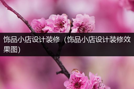 饰品小店设计装修（饰品小店设计装修效果图）