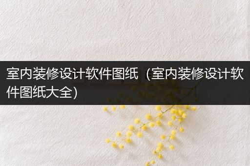 室内装修设计软件图纸（室内装修设计软件图纸大全）