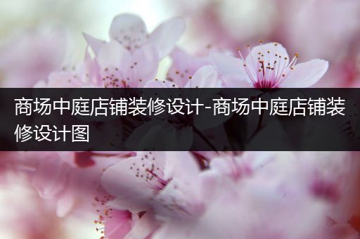 商场中庭店铺装修设计-商场中庭店铺装修设计图