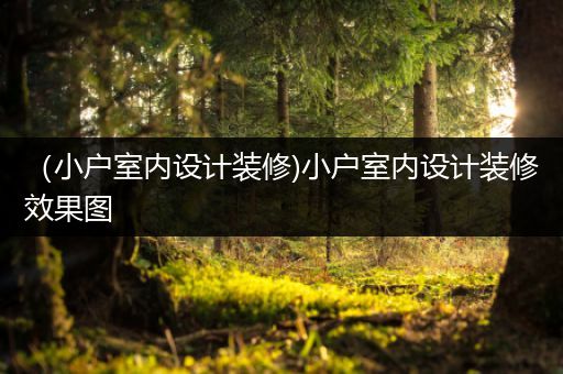 （小户室内设计装修)小户室内设计装修效果图