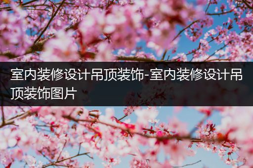 室内装修设计吊顶装饰-室内装修设计吊顶装饰图片