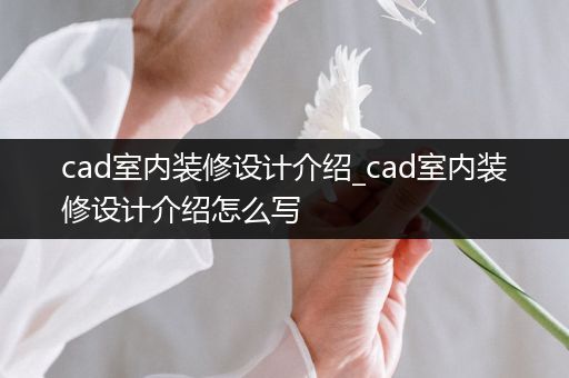 cad室内装修设计介绍_cad室内装修设计介绍怎么写
