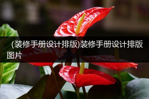 （装修手册设计排版)装修手册设计排版图片