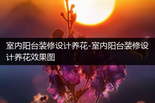 室内阳台装修设计养花-室内阳台装修设计养花效果图