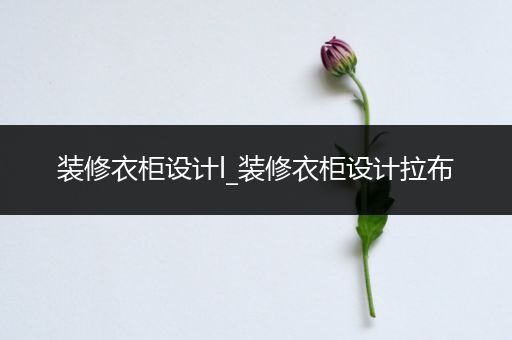 装修衣柜设计l_装修衣柜设计拉布