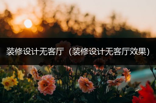 装修设计无客厅（装修设计无客厅效果）