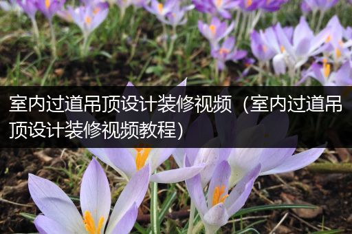 室内过道吊顶设计装修视频（室内过道吊顶设计装修视频教程）