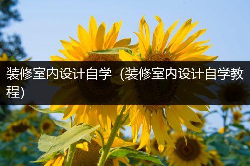 装修室内设计自学（装修室内设计自学教程）