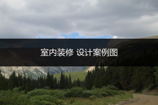 室内装修 设计案例图