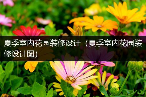 夏季室内花园装修设计（夏季室内花园装修设计图）