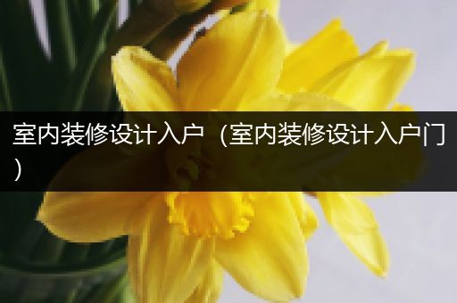 室内装修设计入户（室内装修设计入户门）