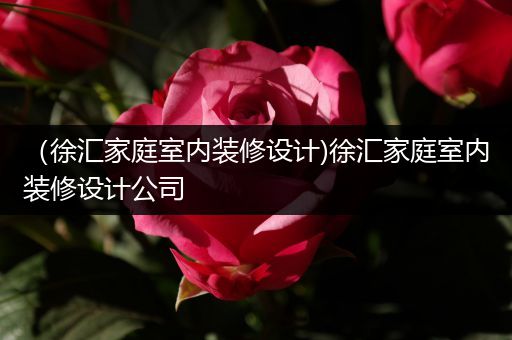 （徐汇家庭室内装修设计)徐汇家庭室内装修设计公司