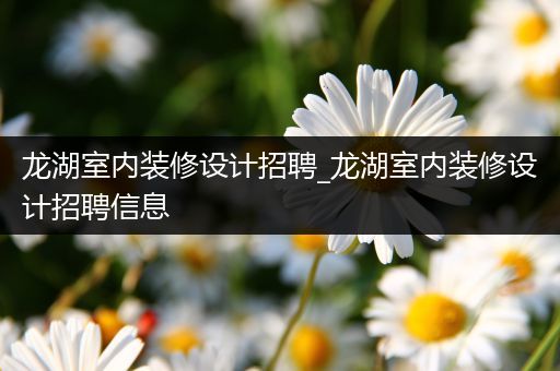 龙湖室内装修设计招聘_龙湖室内装修设计招聘信息