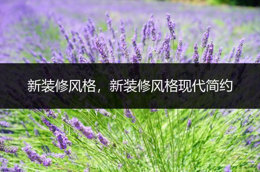 新装修风格，新装修风格现代简约