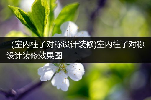 （室内柱子对称设计装修)室内柱子对称设计装修效果图