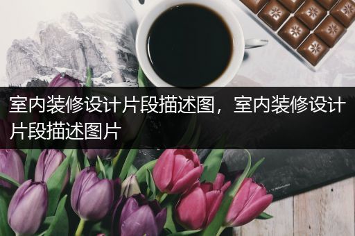 室内装修设计片段描述图，室内装修设计片段描述图片