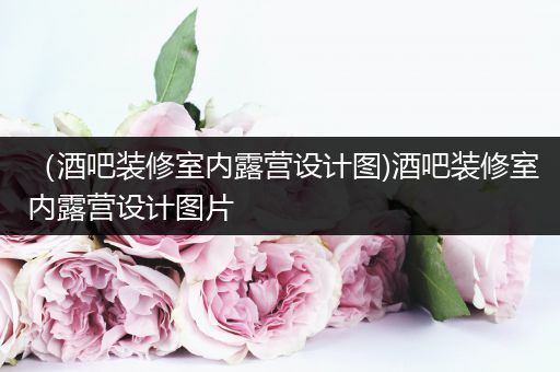 （酒吧装修室内露营设计图)酒吧装修室内露营设计图片