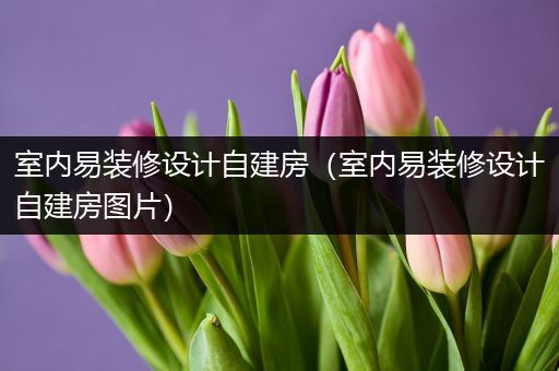 室内易装修设计自建房（室内易装修设计自建房图片）