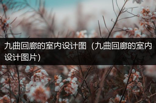 九曲回廊的室内设计图（九曲回廊的室内设计图片）